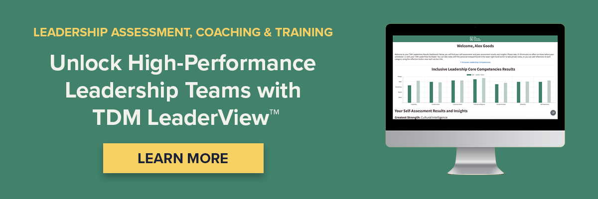 Unlock High-Performance Leadership Teams with TDM LeaderView