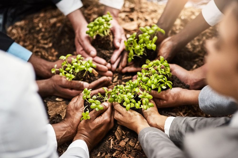 Closeup shot of a group of businesspeople holding plants growing out of soil